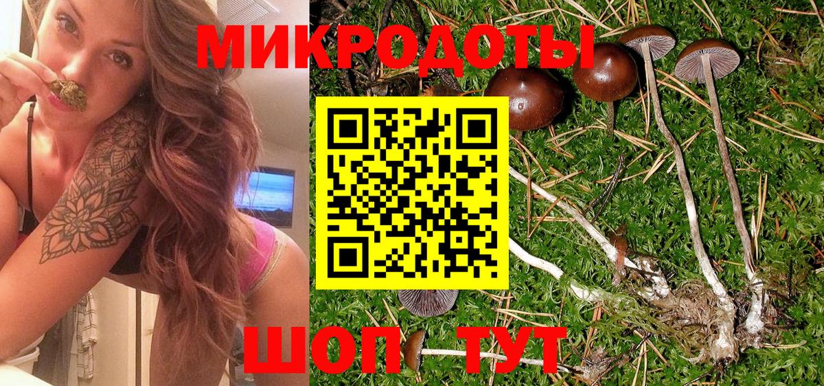 Галлюциногенные грибы мицелий  Вход с VPN  Скопин 